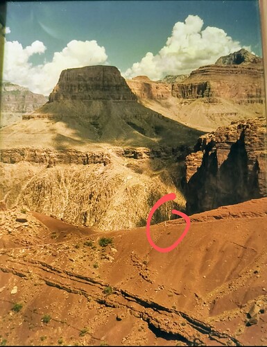 Screenshot_20240207-195136~2