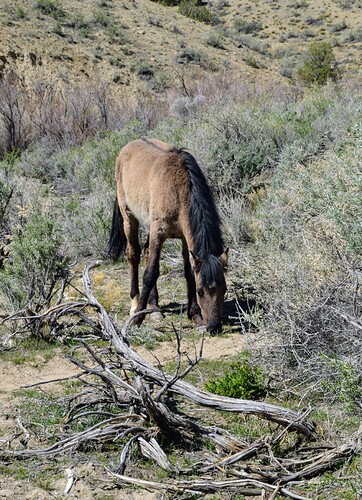 5134efd7-bfeb-4222-bea7-3348474cb414-1_all_4289