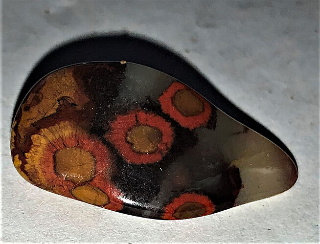 morgan hill poppy jasper