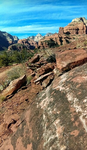 Screenshot_20240203-183603