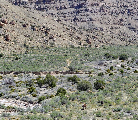 5134efd7-bfeb-4222-bea7-3348474cb414-1_all_4290