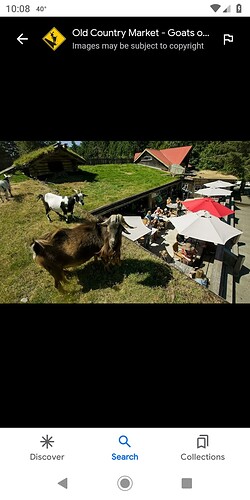 Screenshot_20221111-220821