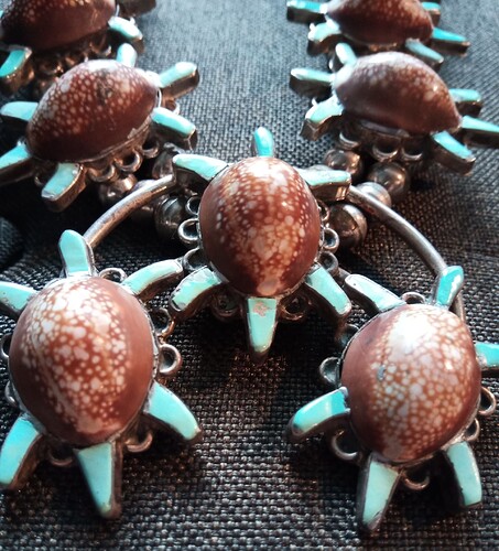 cowrie turtle close