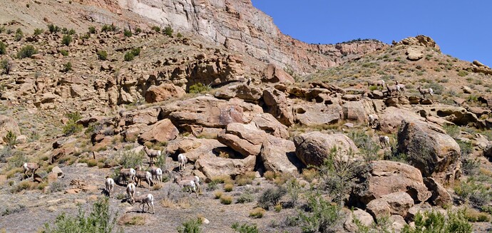 5134efd7-bfeb-4222-bea7-3348474cb414-1_all_4288