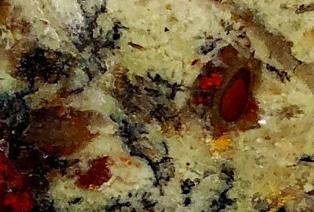 coprolite 2