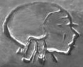 profile2