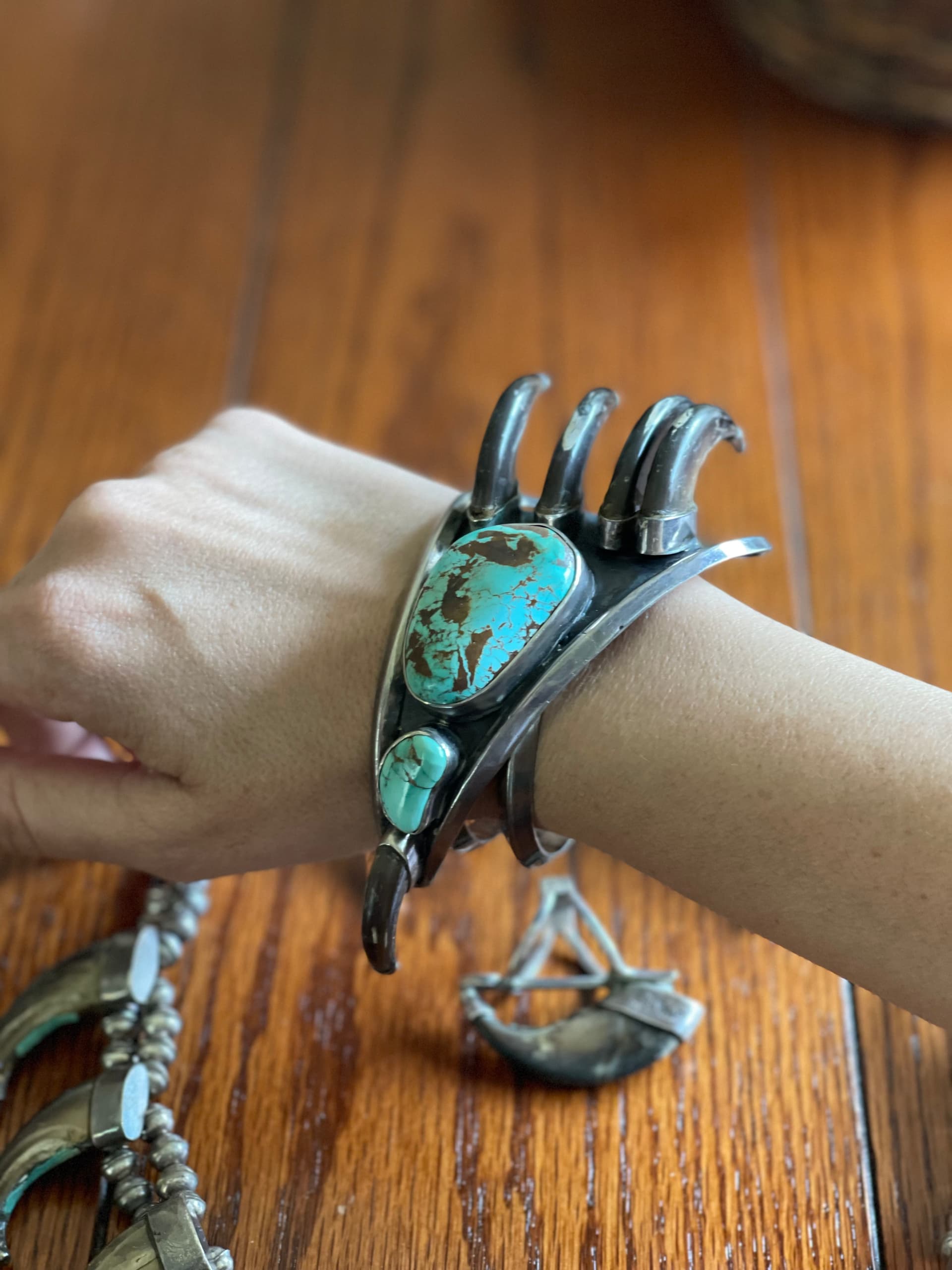 MYSTERY BEAR CLAW COLLECTION - Identifying & Discovering
