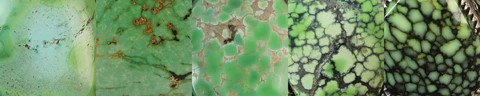 turquoise-pattern-scales_480x480 (2)