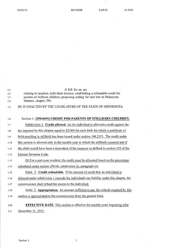 MN Stillbirth Tax Credit Legislation