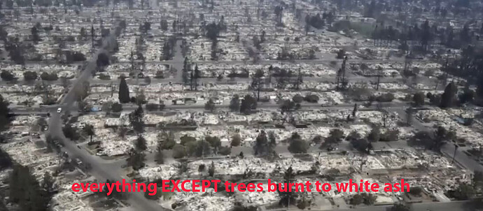CA fires trees not burned copy