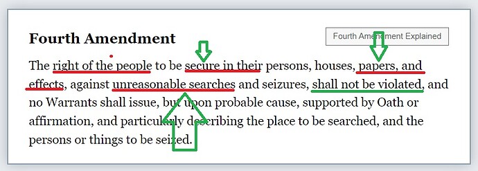AmericanSurveyViolation4thAmendment