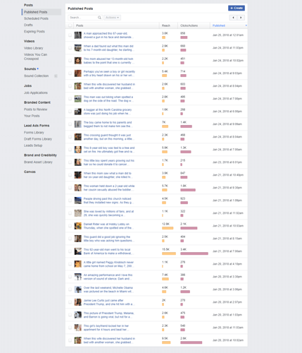 screencapture-business-FB-libertydigest-publishing_tools-2018-03-09-16_15_24