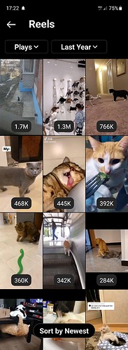 Screenshot_20211217-172220_Instagram
