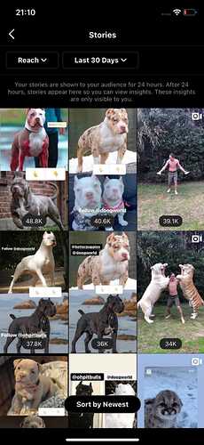 WhatsApp Image 2021-09-29 at 21.11.53