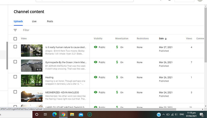 Screenshot (13)