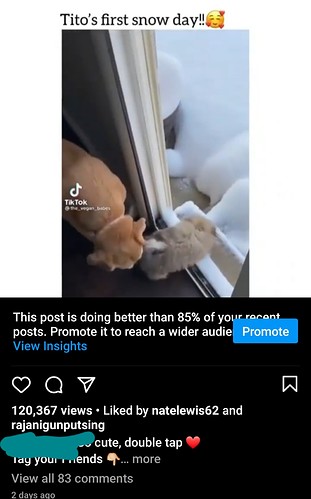 Screenshot_20210318-133843_Instagram