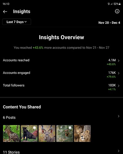 Screenshot_20211205-161308_Instagram