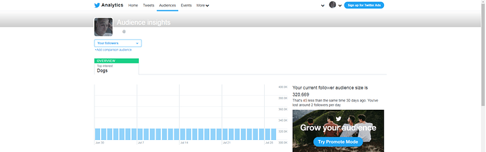 twitter%20analytics%201