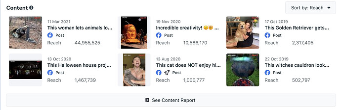 Screenshot 2022-04-07 at 08.54.35