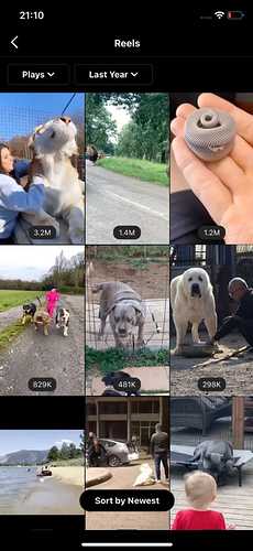 WhatsApp Image 2021-09-29 at 21.11.53 (1)