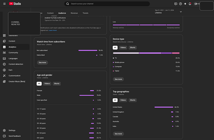 YouTube Studio lifetime audience demographics