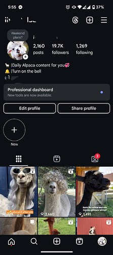 Screenshot_20250209-175519~3