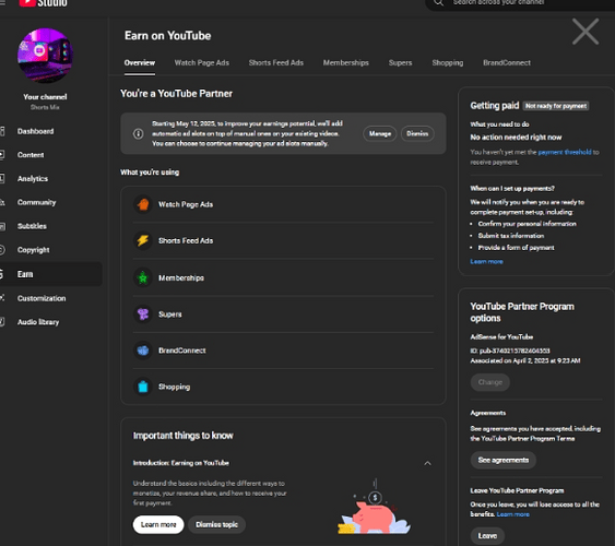monetization page