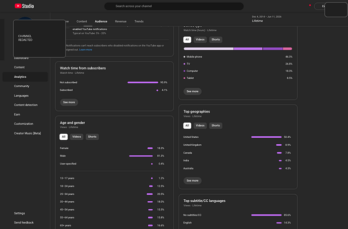 YouTube Studio lifetime audience demographics