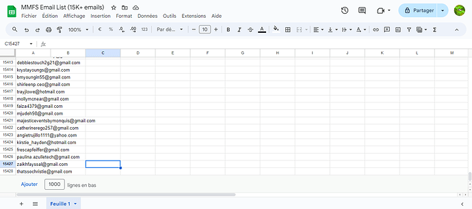 MMFS-Email-List-15K-emails-Google-Sheets (3)