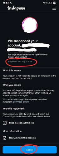 Screenshot_20250801_165347_Instagram(1)(1)