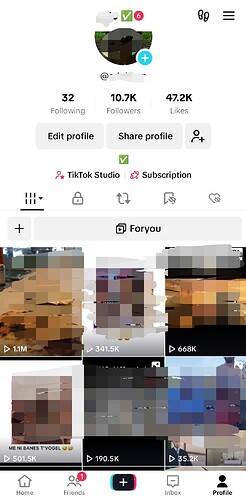 Screenshot_20240829_200803_TikTok