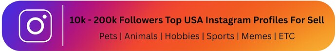 10k - 200k Followers Top USA Instagram Profiles For Sell