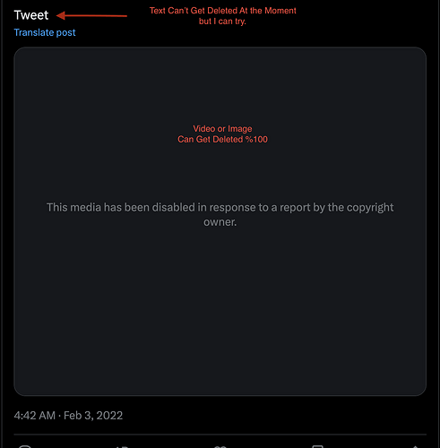 Screenshot 2025-02-19 at 11.53.18 AM