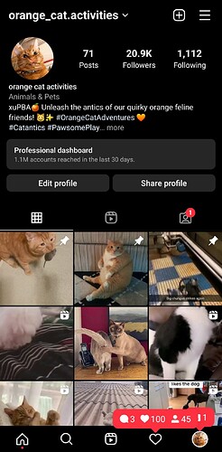 Screenshot_20240105-153425_InstaGold