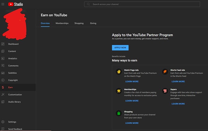 5.monetization tab