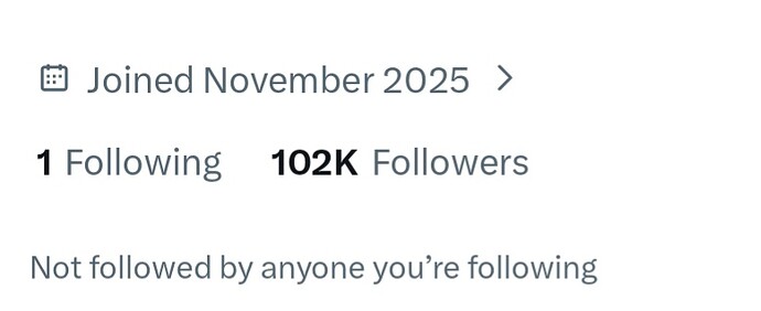 Screenshot_20251228_234728_X