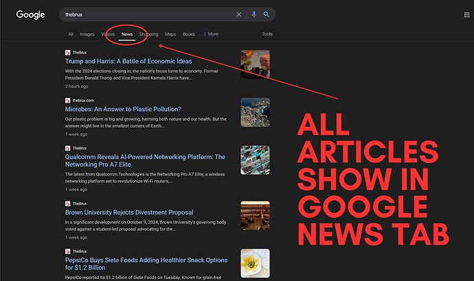 all articles show in google news tab