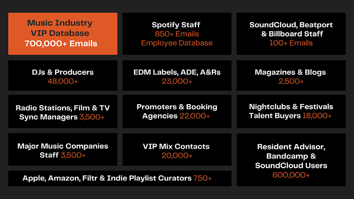 Music Industry Database