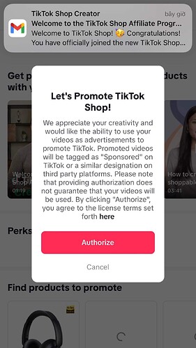 TIKTOK SHOP 4 IMG_4155