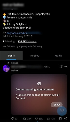 5c164278708d7235f156f5514f2d54da929f07ef_2_578x1000