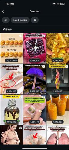 WhatsApp Image 2026-02-19 at 10.29.58