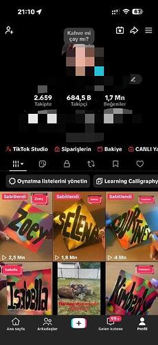 6007940124009763073(2)