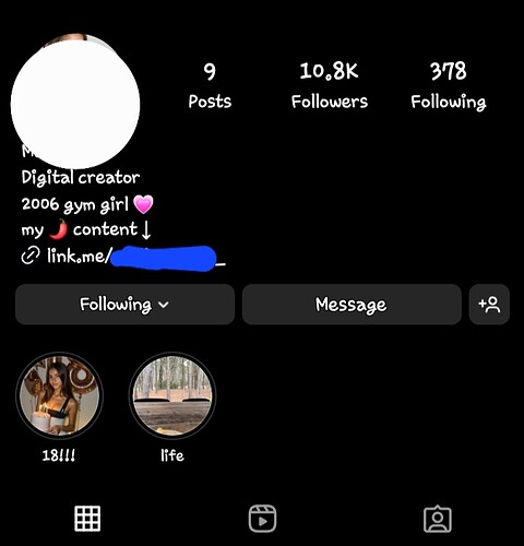 Screenshot_20250301_134341_GBInstagram