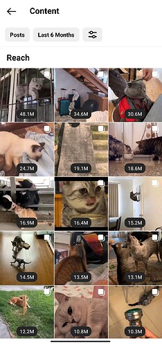 Screenshot_2023-04-19-06-45-27-484_com.instagram.android~2