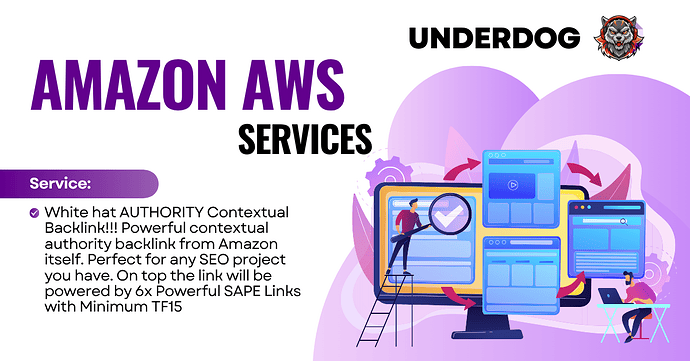 Purple Illustration Website Development Services Facebook Ad