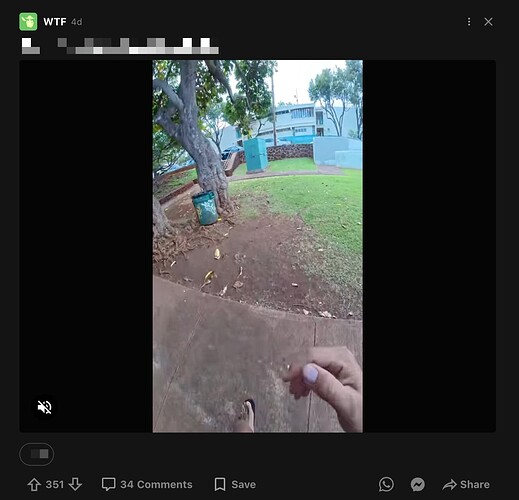 .png