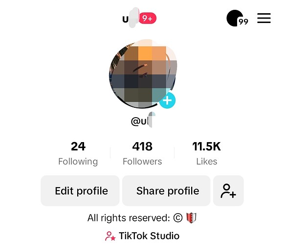 Screenshot_20241006_211017_TikTok