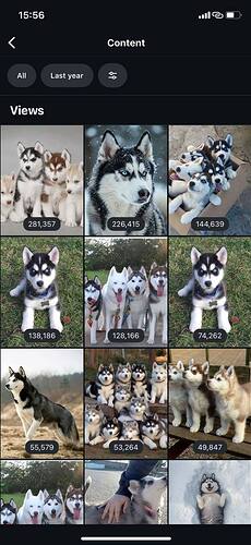 5951987192747986048 (2)