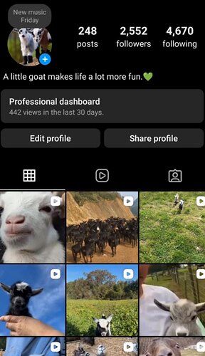 Screenshot_2