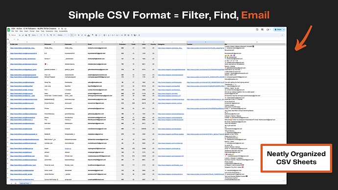 Database Format